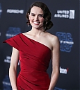 3228129.jpg