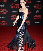 58827101_daisy-5.jpg