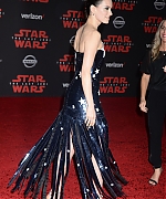 58827106_daisy-8.jpg