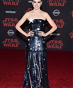 58840009_daisy-18.jpg