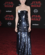 58840053_daisy-33.jpg