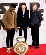 59153478_daisy-6.jpg