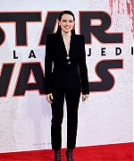 59153517_daisy-17.jpg