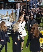 65774485_dsera-0025.jpg