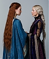 855503.jpg