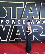 Daisy_281029~1.jpg