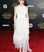 Daisy_281129~0.jpg
