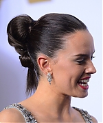 Daisy_281229.JPG