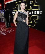 Daisy_28129_28129~0.jpg