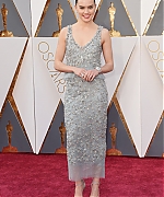 Daisy_28129_28129~1.jpg