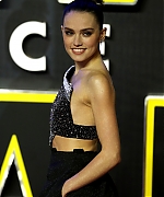 Daisy_28129_28229.jpg