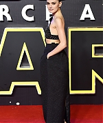 Daisy_28129_28329.jpg