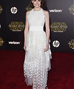 Daisy_28129~0.jpg