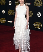 Daisy_281429~0.jpg