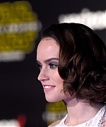 Daisy_282129_28129.jpg