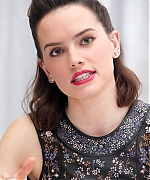 Daisy_28229.jpg