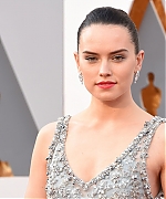 Daisy_28229_28129~2.jpg