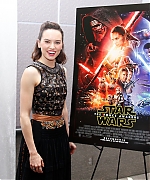 Daisy_28329.jpg