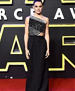 Daisy_28329_28329.jpg