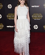 Daisy_28329~0.jpg