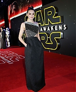 Daisy_28329~1.jpg