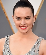 Daisy_28329~3.jpg
