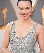 Daisy_28429~2.jpg