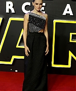 Daisy_28529_28229.jpg