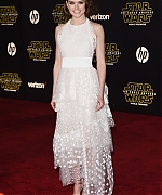 Daisy_28529~0.jpg