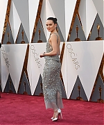 Daisy_28529~2.jpg