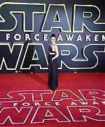 Daisy_28729~1.jpg