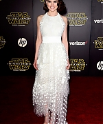 Daisy_28929~0.jpg