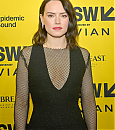daisy3-3~0.jpg