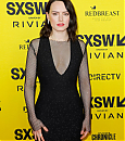 daisy4-2.jpg