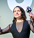 daisy6-4.jpg